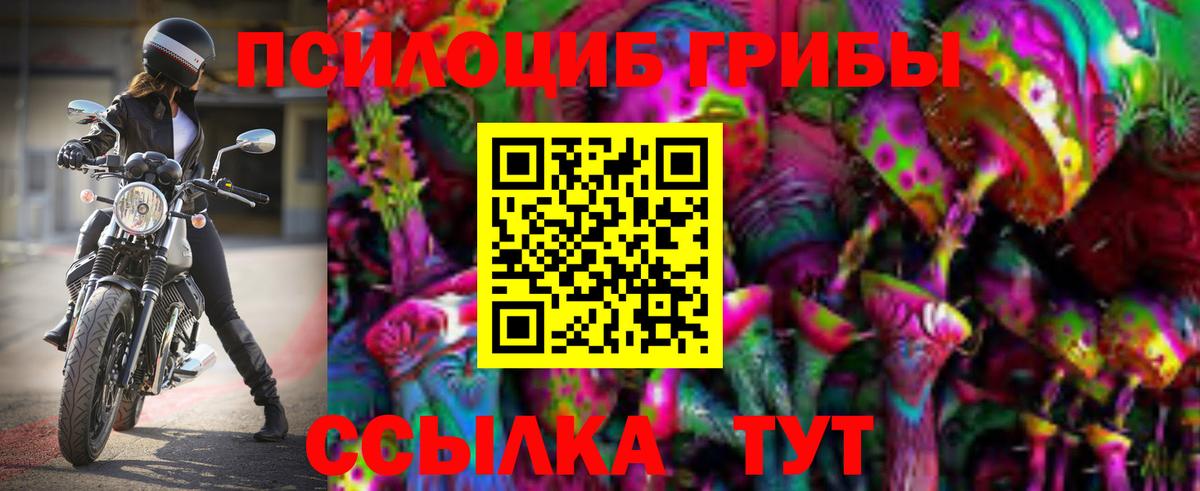 Галлюциногенные грибы GOLDEN TEACHER  Вход с VPN  закладки  Кызыл 